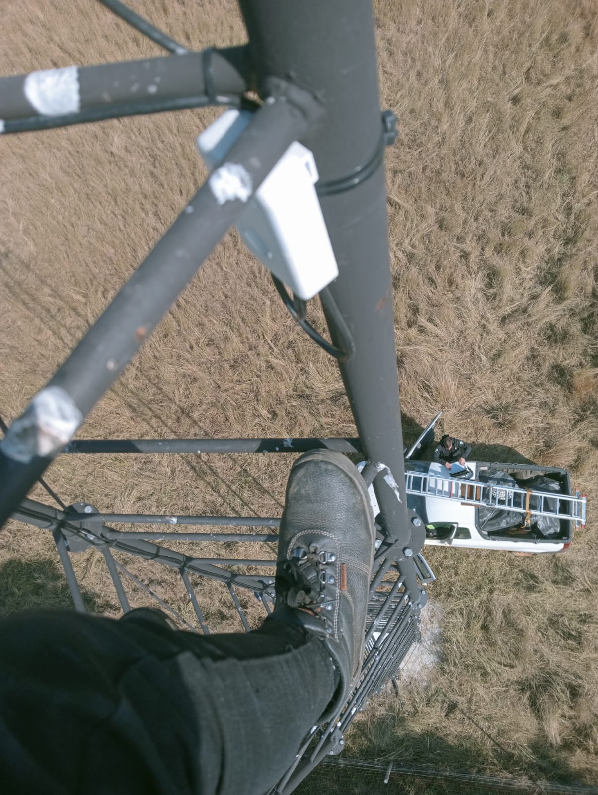 PRIN ICT technician climbing a tower during installation